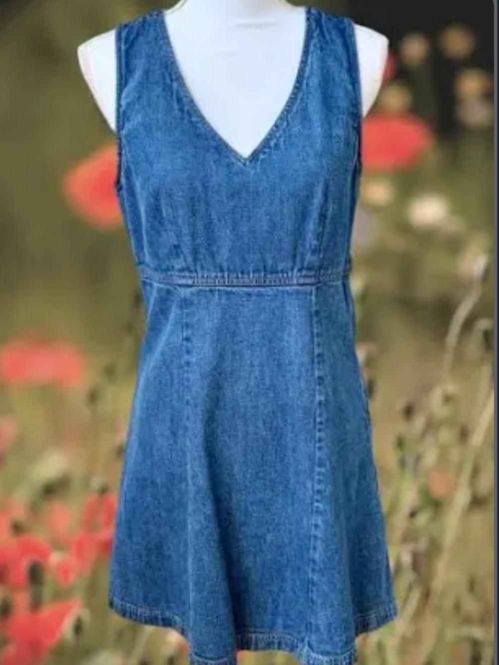 AE Studio S Denim V-Neck we Sleeveless Fit n Flare Dress - Blue